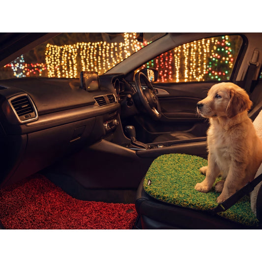 Protect Your Car With Mats Designed For Pet Owners