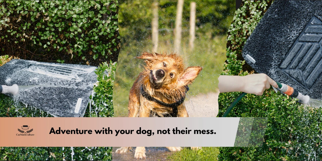 From Wet Fur to Fur-Free Carpets: Honeycomb Mats for Aussie Dog Lovers