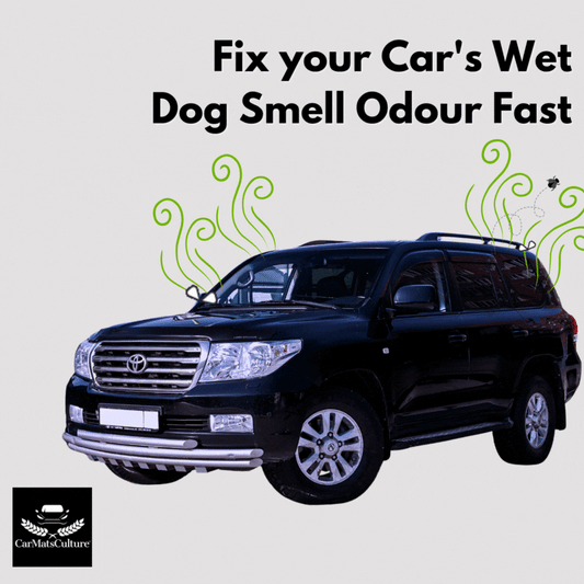 Fix Your Car’s Wet Dog Smell  Fast