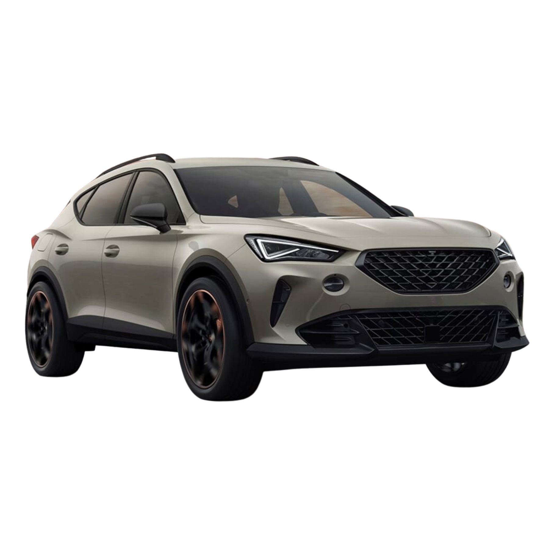 Cupra Compatible Car Floor Mats and Accessories