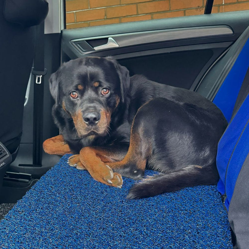 Premium Car Mats & Accessories for 