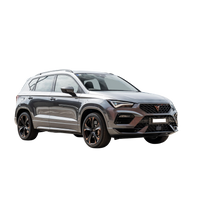 Cupra Ateca  2016 2017 2018 2019 2020 2021 2022 2023 2024 2025