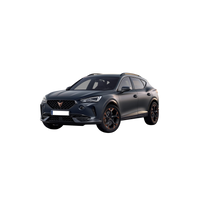 Cupra Formentor  2020 2021 2022 2023 2024 2025