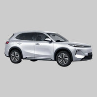 Geely Starray EM-i  2025 - Current