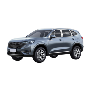 GWM Haval H6GT