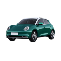 Haval ORA  2023 2024 2025