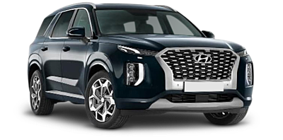 Premium Accessories  for Hyundai Palisade 8 Seater2021-Current