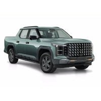 LDV Terron 9  2025 2026