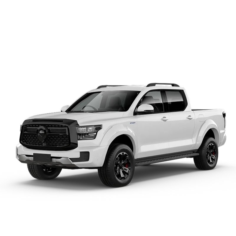 Premium Accessories  for All-New GWM Haval Cannon Alpha 2024-Current, New Arrival!