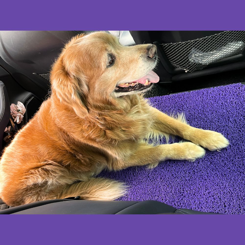 SnugRider Mat: The Ultimate Pet-Friendly Mat for Comfort & Durability