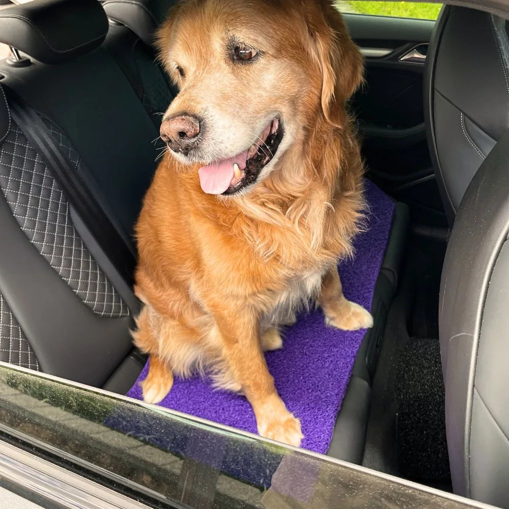 Dog-Proof CarMatsCulture mats in a coastal lifestyle setting